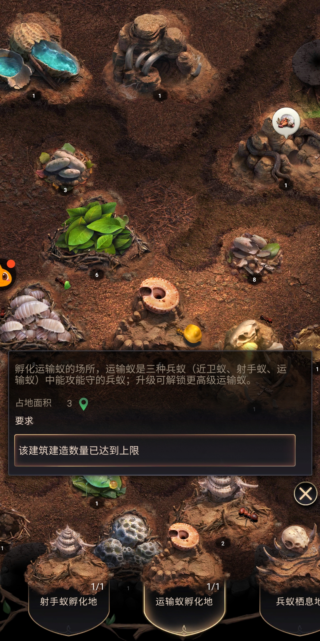 蚁下帝国游戏下载地址(蚂蚁地下蚁国破解版下载)