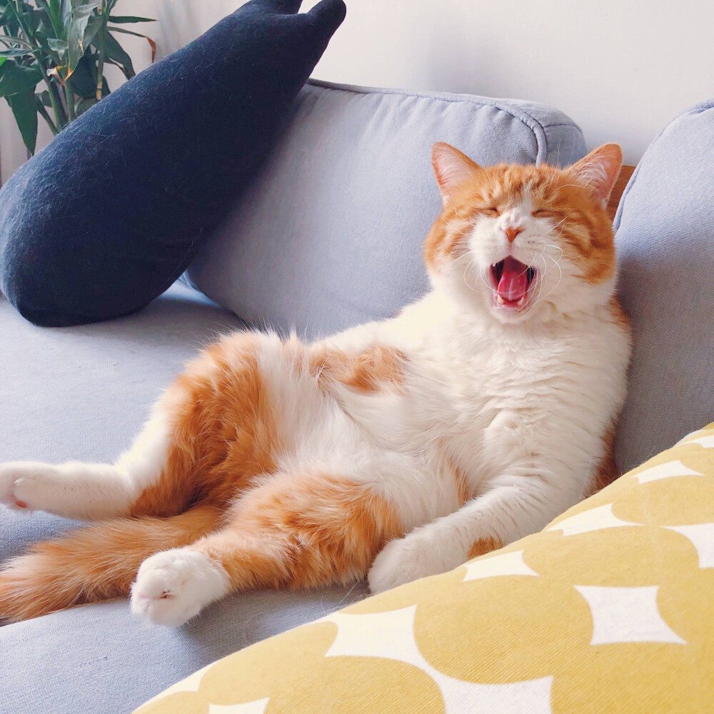 2025年10月16日 第43页