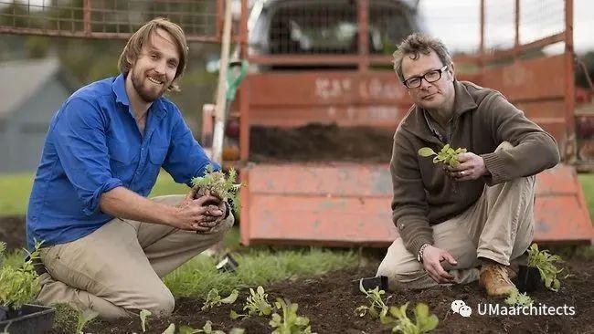 拯救农夫攻略(拯救农夫攻略大全)