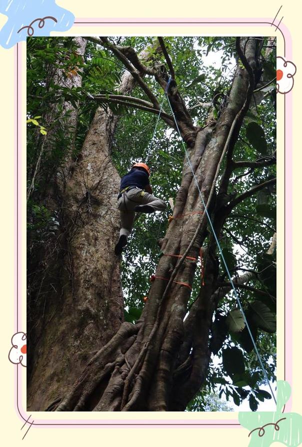 逃离热带雨林攻略(逃离热带雨林攻略图文)