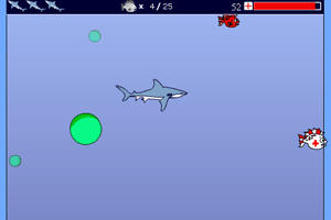 小鱼吃鲨鱼破解版(鲨鱼吃小鱼的游戏叫什么名字)
