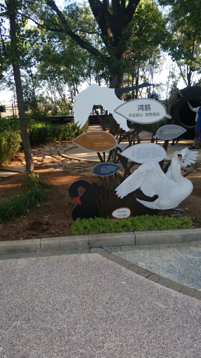 鸽子逃生游戏攻略(鸽子逃生游戏攻略图文)