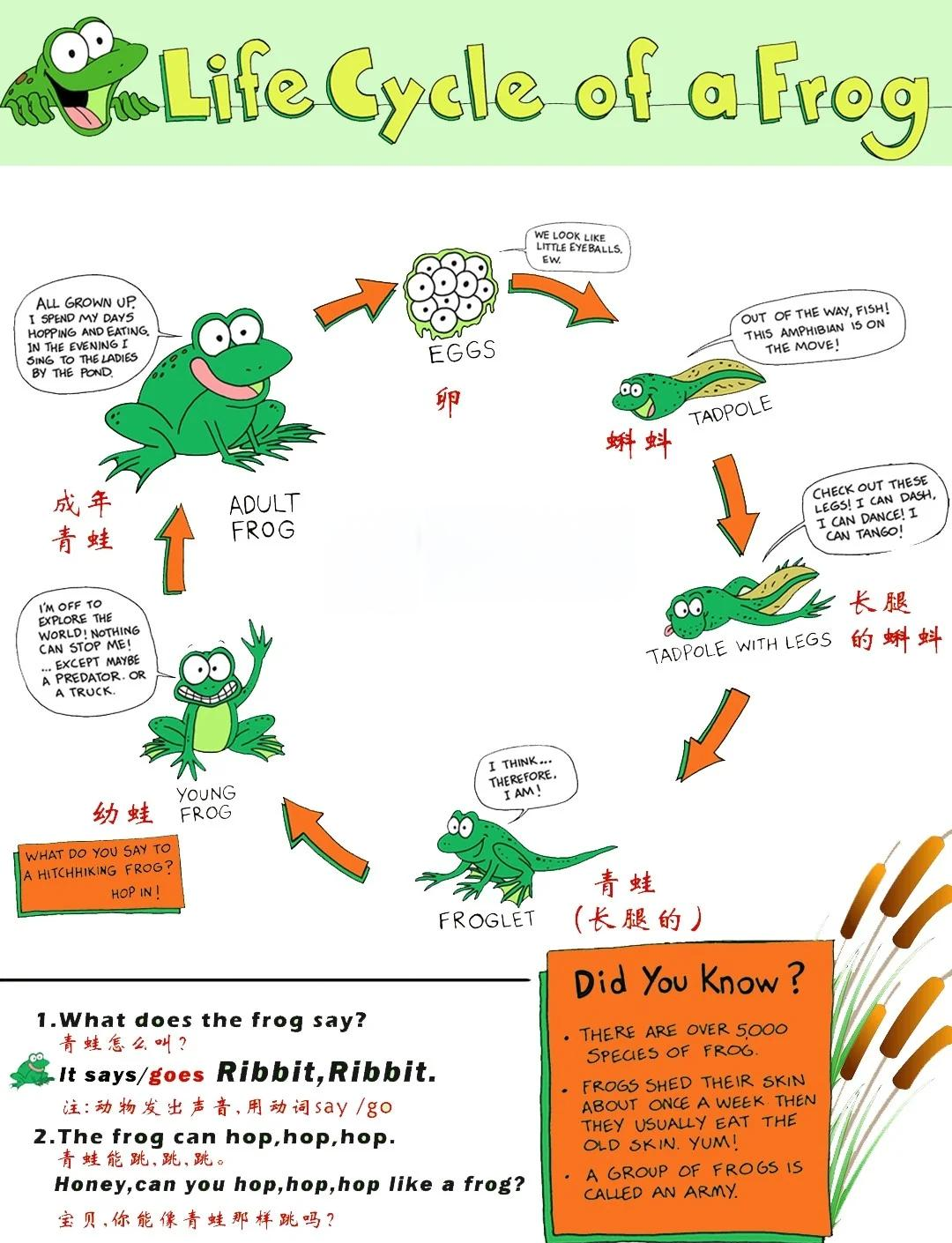 青蛙换位小游戏攻略()