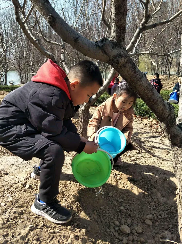 跳跳农场种植攻略(跳跳农场ol内购破解版)