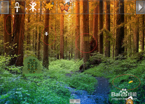 逃离和平森林攻略视频(逃离和平森林攻略视频解说)