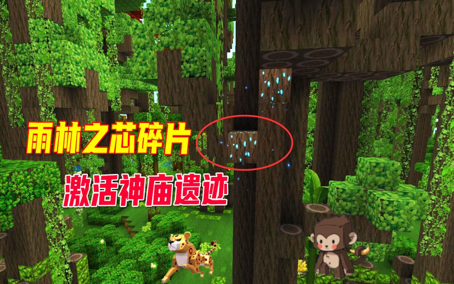 雨林地图迷你世界房子(迷你世界的雨林地图怎么建造)