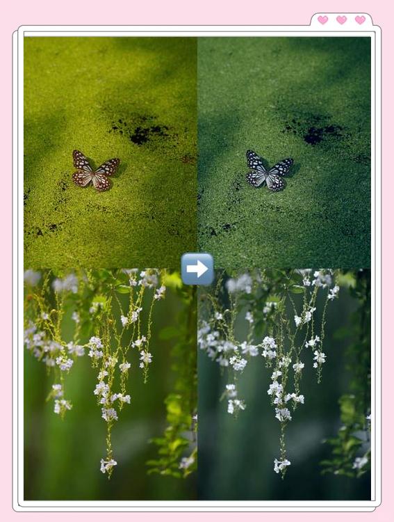 魔法森林3攻略(魔法森林攻略全集图解)