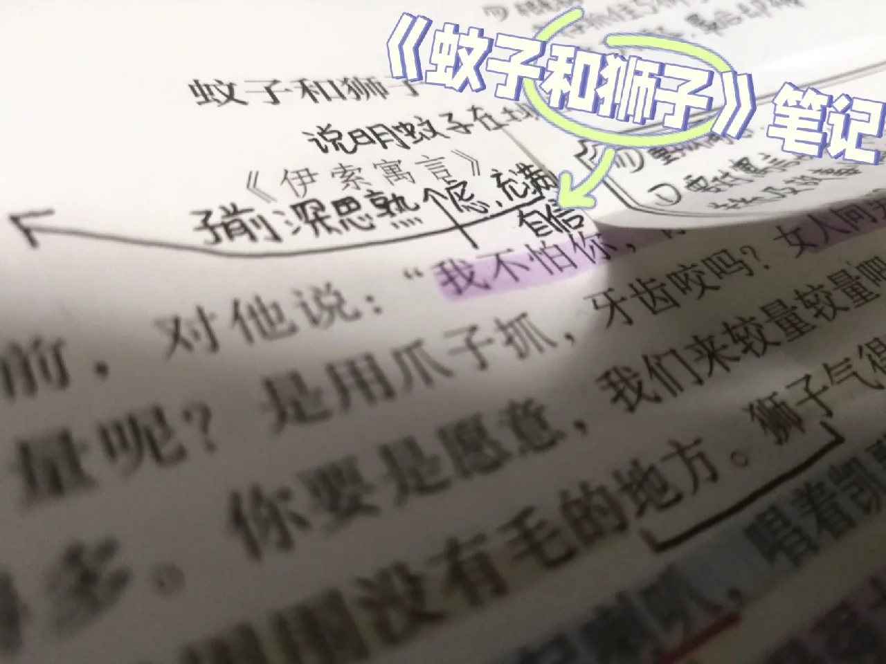 蚊子和牛攻略(蚊子和牛的故事)