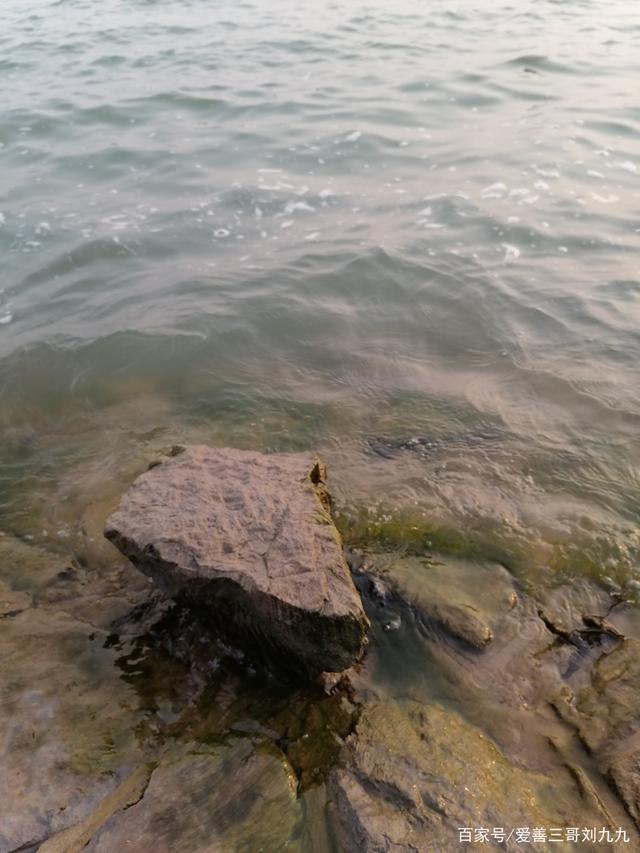 七层浪破解版(层浪2020app破解版)