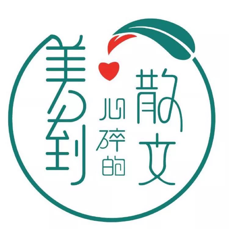 不负流年攻略(不负流年gl)