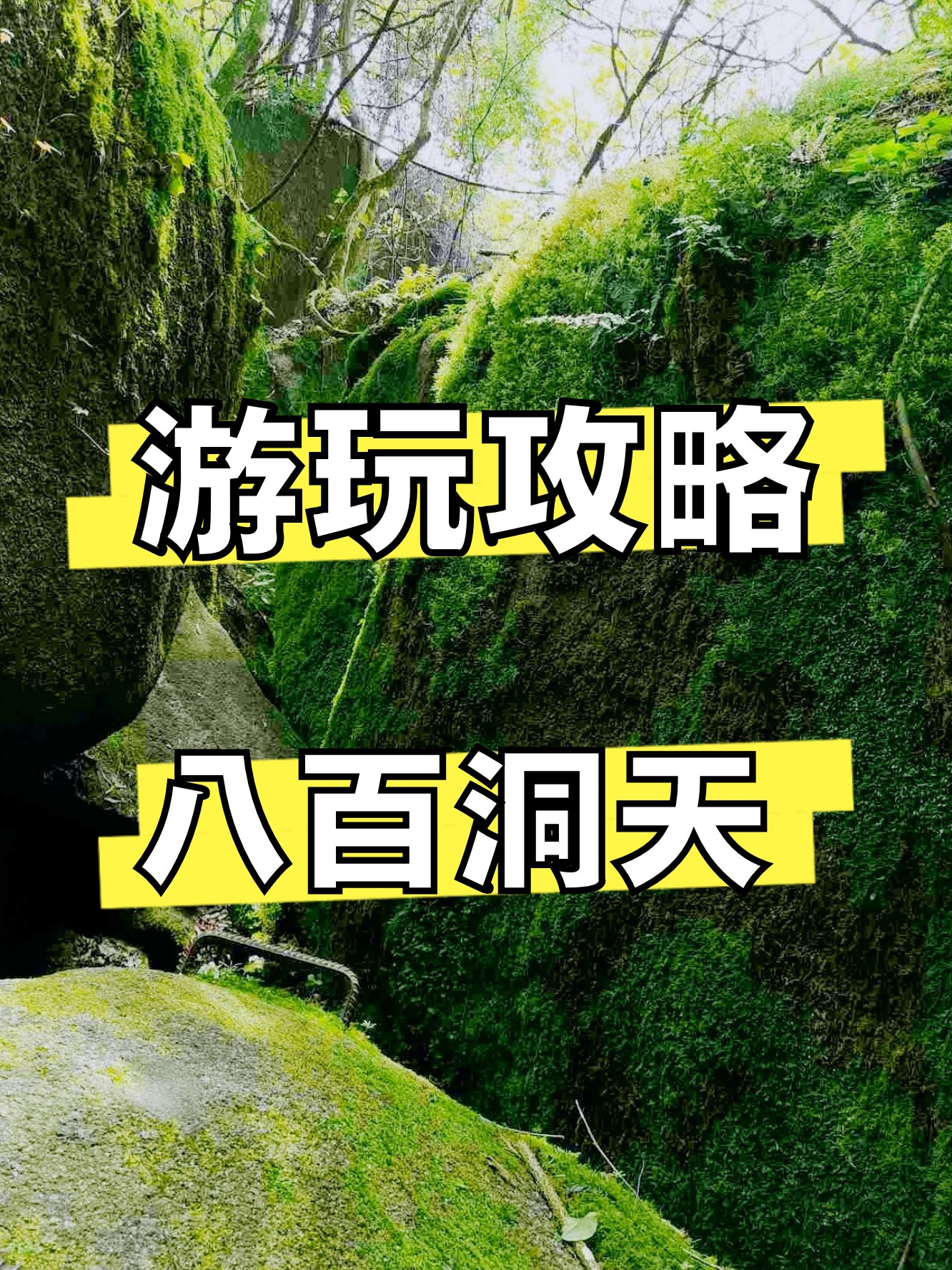 山洞逃脱攻略(山洞逃脱攻略视频)