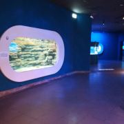 2025年10月27日 第32页