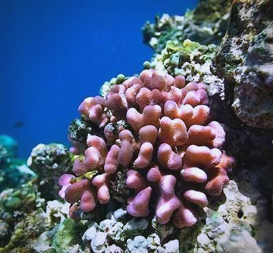 2025年10月28日 第51页