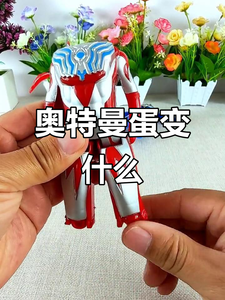 哪咤奥特曼的蛋(哪吒肚子里有敖丙的龙蛋)