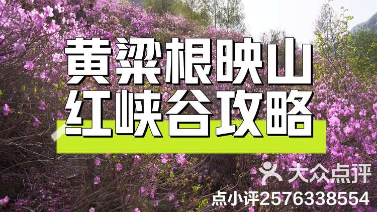 成长峡谷攻略(成长峡谷攻略图文)