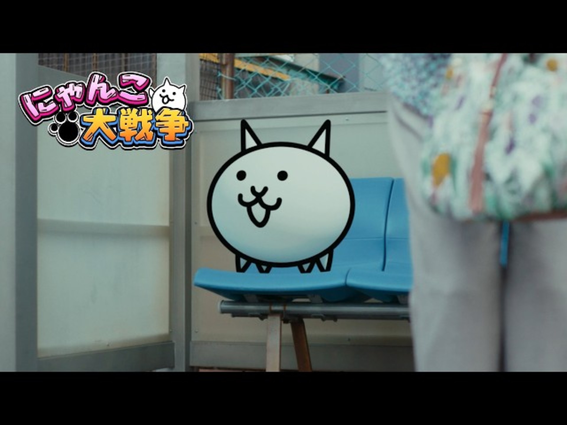 猫咪大战争有扭蛋的版本(猫咪大战争扭蛋说新版本已经更新怎么更新)