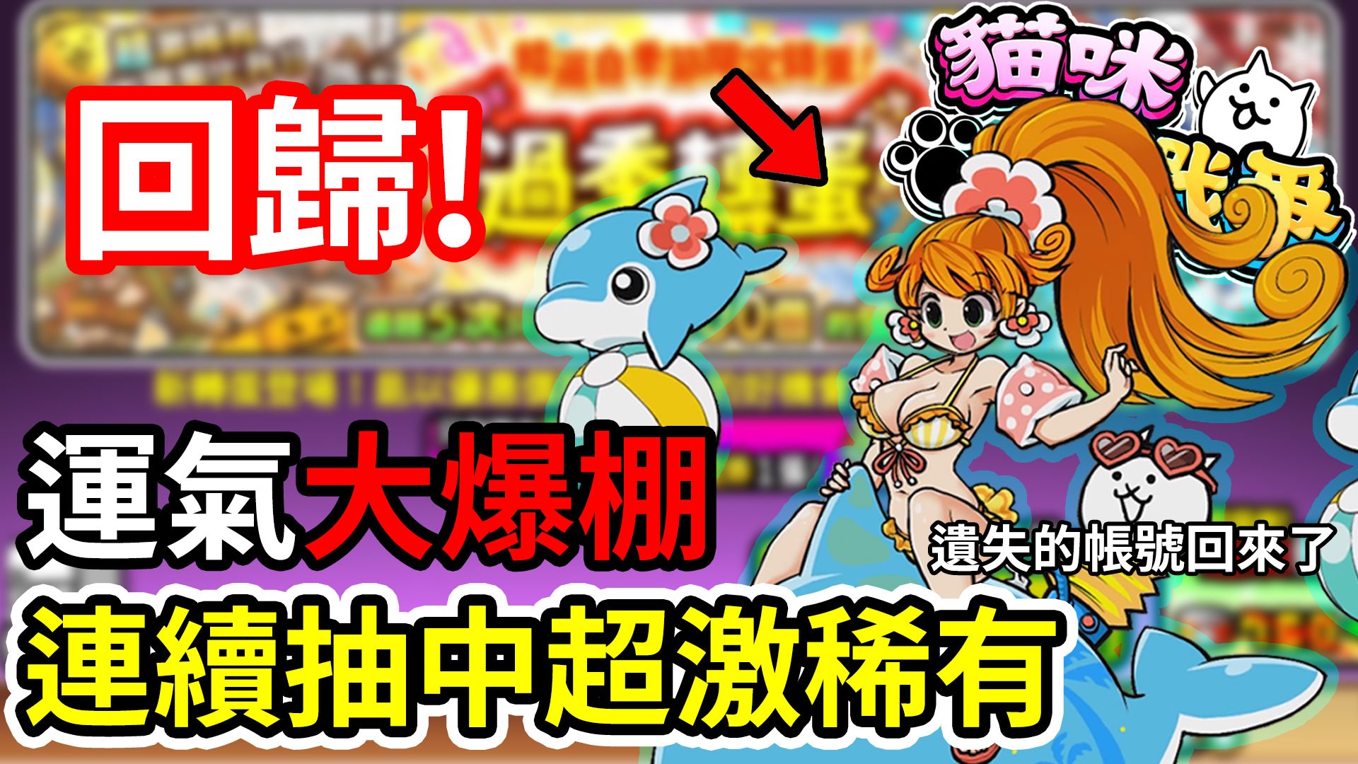 猫咪大战争有扭蛋的版本(猫咪大战争扭蛋说新版本已经更新怎么更新)