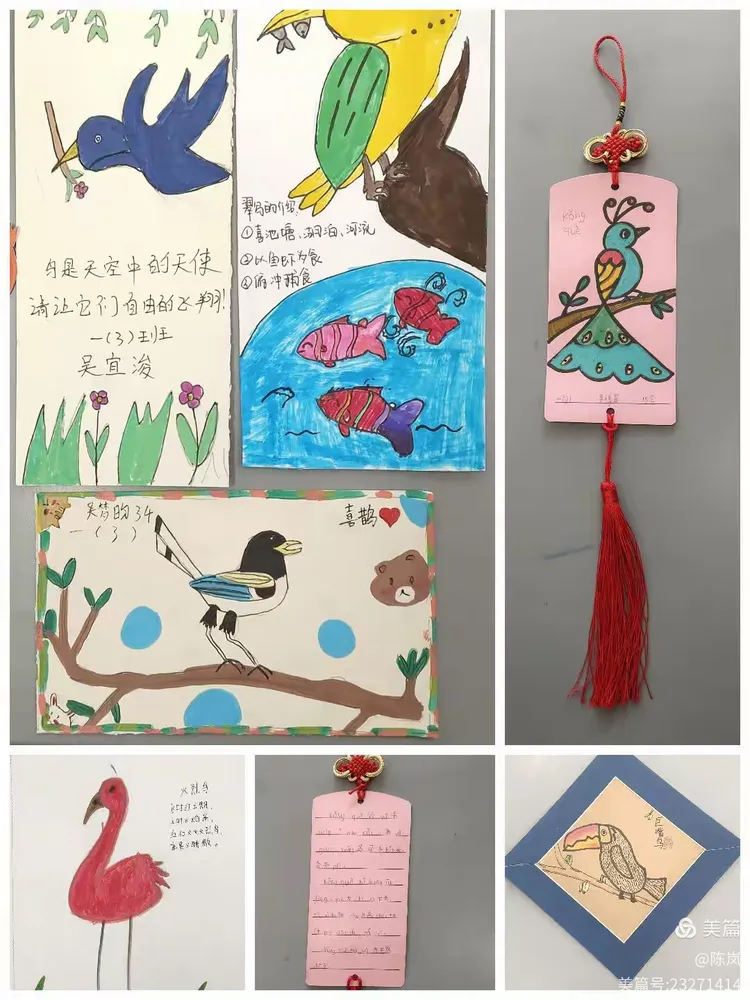 鸟王国的故事(鸟王国的故事作文)