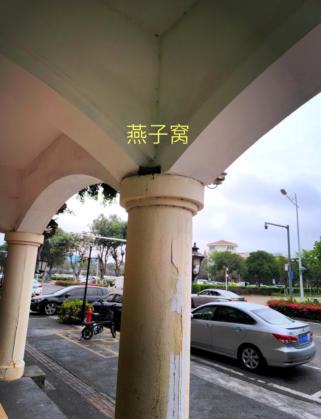 企鹅王国密室逃脱攻略(企鹅王国初中老师职务acg)