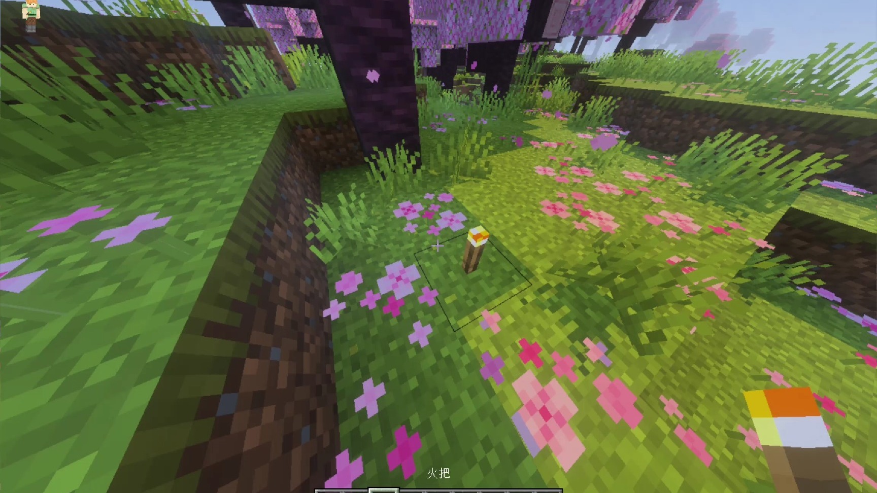 我的世界1.16版本下载ios基岩版(我的世界116版本下载ios基岩版安装)