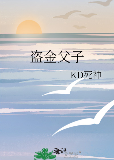 盗金父子21攻略(盗金父子2第15关)