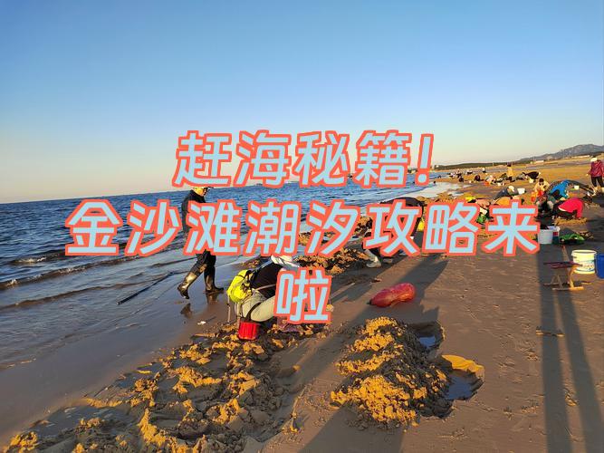 救出蟹宝宝攻略秘籍(救出蟹宝宝攻略秘籍怎么用)