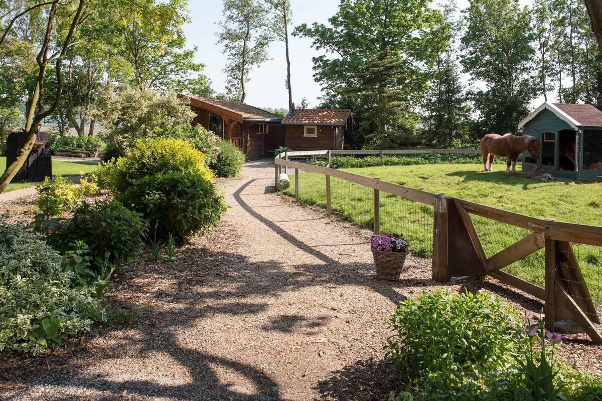 花园木屋攻略(花园木屋攻略大全)