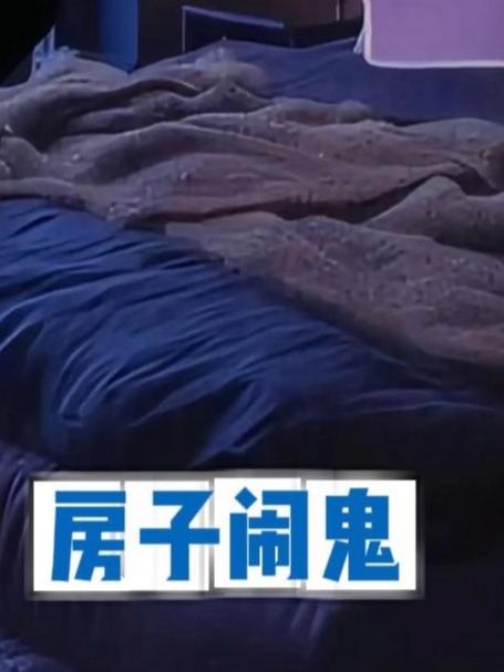 闹鬼的房屋攻略(闹鬼的房子游戏中文版)