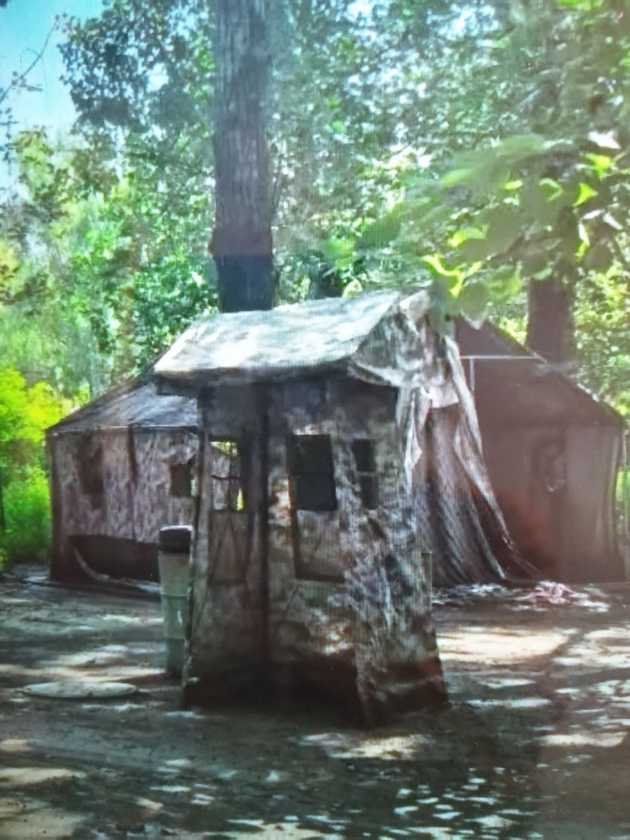 逃脱秘密森林攻略(逃脱秘密森林攻略视频)