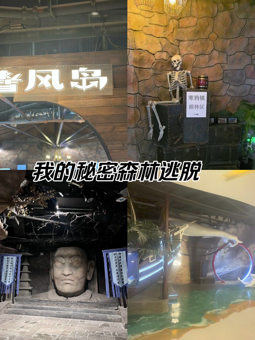 逃脱秘密森林攻略(逃脱秘密森林攻略视频)