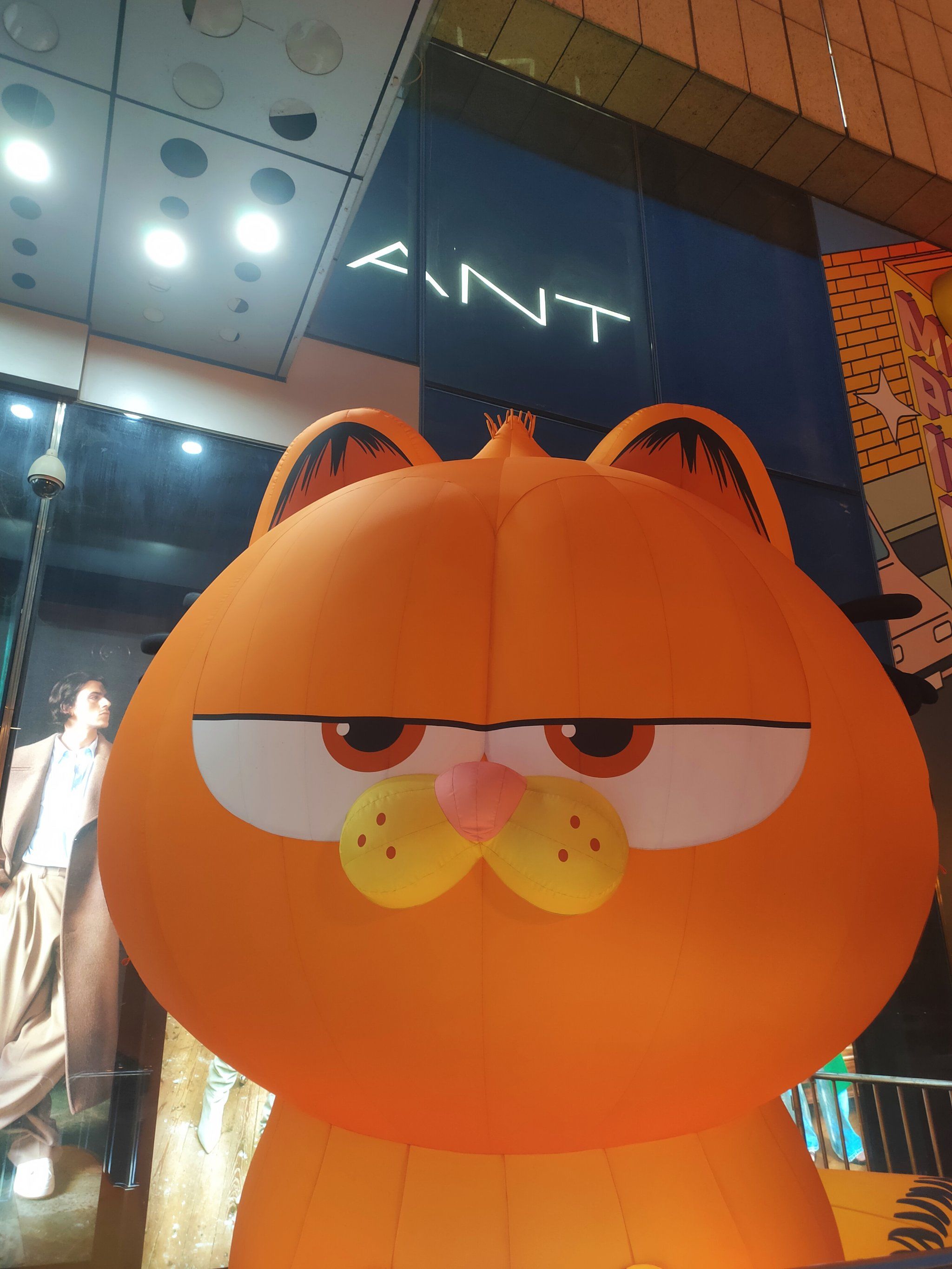 我想看加菲猫和铠甲勇士(我想看加菲猫和铠甲勇士的视频)