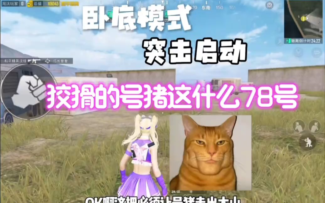 和平精英粉色房(和平精英粉色草地怎么弄的)