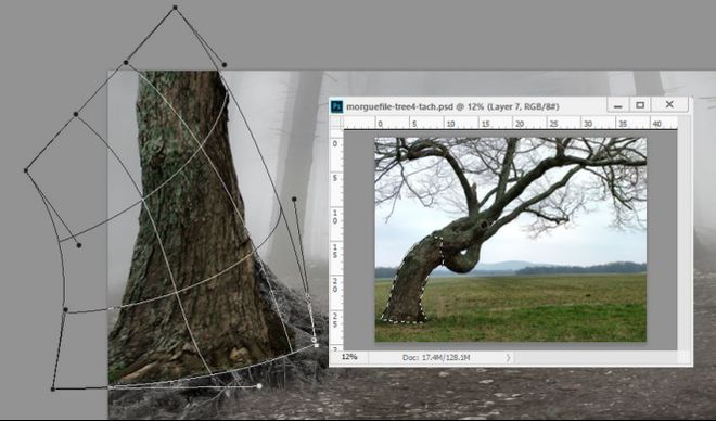 神秘森林3攻略(神秘森林逃脱攻略)