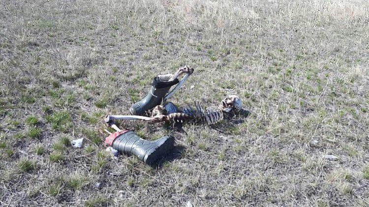 绑架逃离攻略(绑架逃离攻略免费阅读)